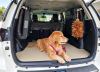 Customer review photo for Choose Your Private Transport Vehicle