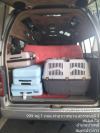 Customer review photo for Pet Transport เดินทางอย่างสะดวกสบายไปด้วยกัน