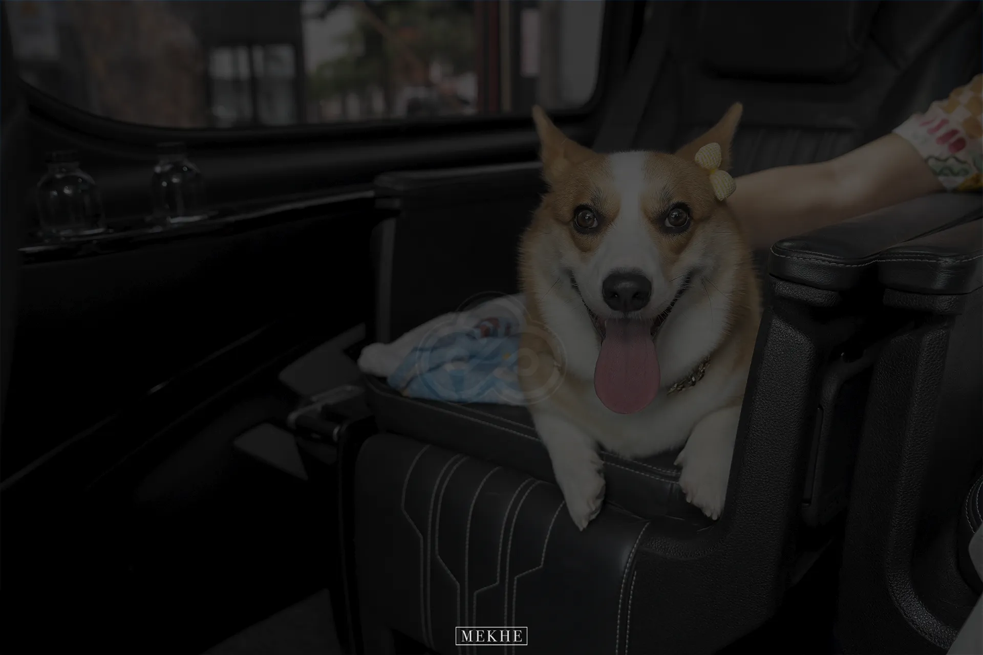 Pet Transport<br>เดินทางอย่างสะดวกสบายไปด้วยกัน